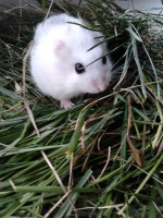 /album/merri/a2014-04-18-18-31-27-jpg/